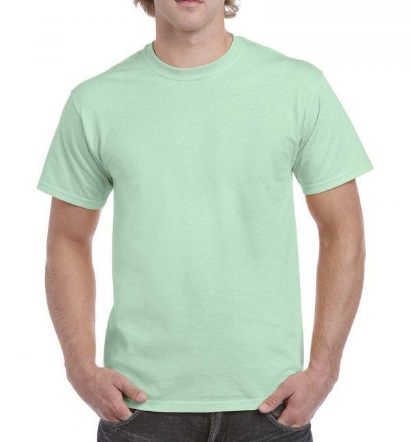 Heavy Cotton Adult T Shirt Kleur Mint Green