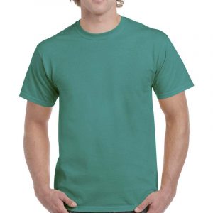 Gildan:Ultra Cotton Adult T-Shirt.