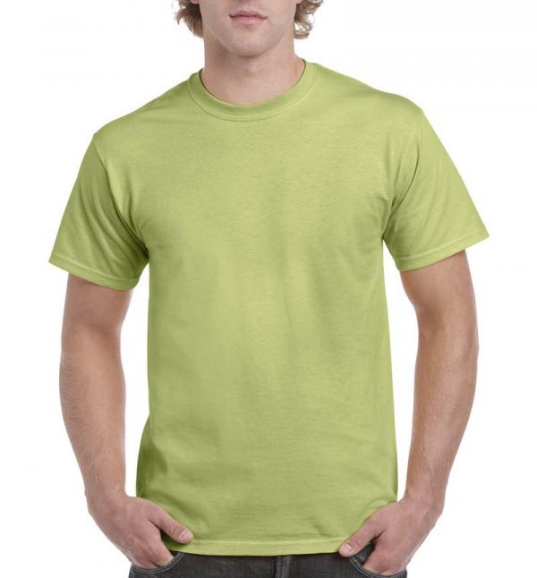 Ultra Cotton Adult T Shirt Kleur Pistachio